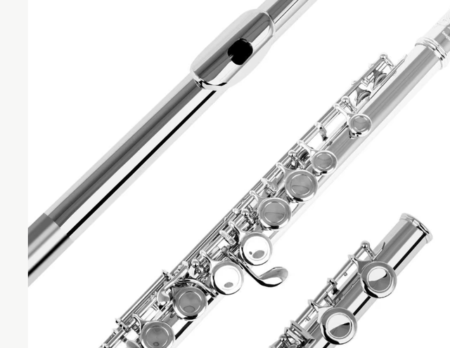 Slade professionele C dwarsfluit met koffer