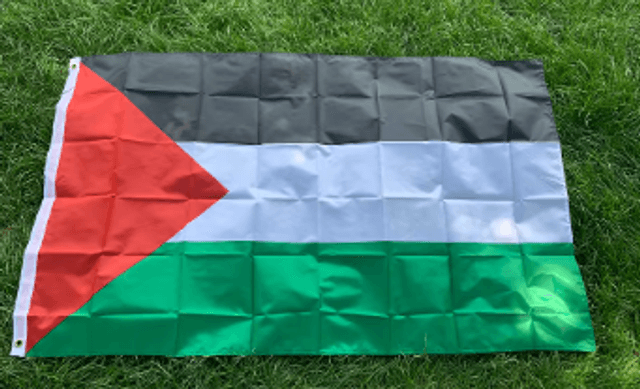 Grote vlag Palestina (150 bij 90cm)