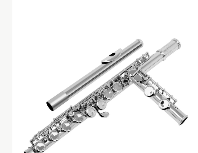 Slade professionele C dwarsfluit met koffer