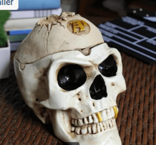 Prachtige luxe vintage asbak Piratenschedel