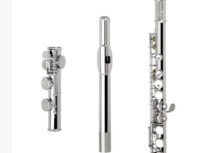 Slade professionele C dwarsfluit met koffer