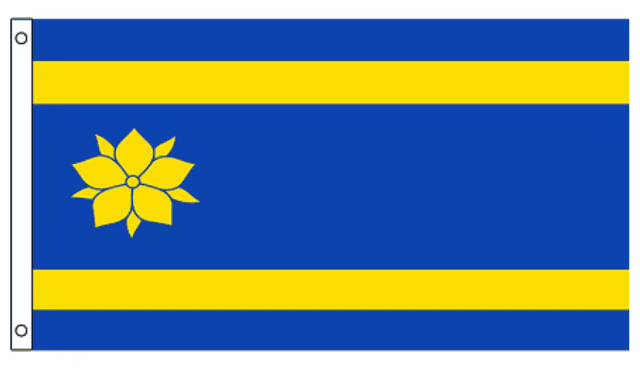 Grote vlag Hattem (150x90cm)