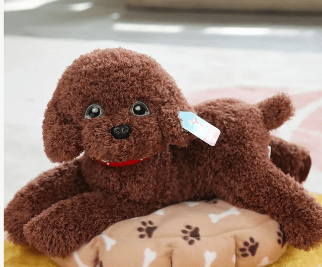 Zachte realistische Teddyhond knuffel (35cm) donkerbruin